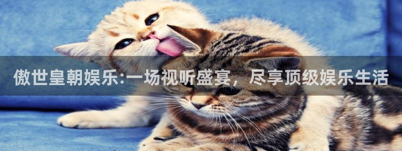 天辰娱乐f平台注册：傲世皇朝娱乐:一场视听盛宴，尽享顶级娱乐生活