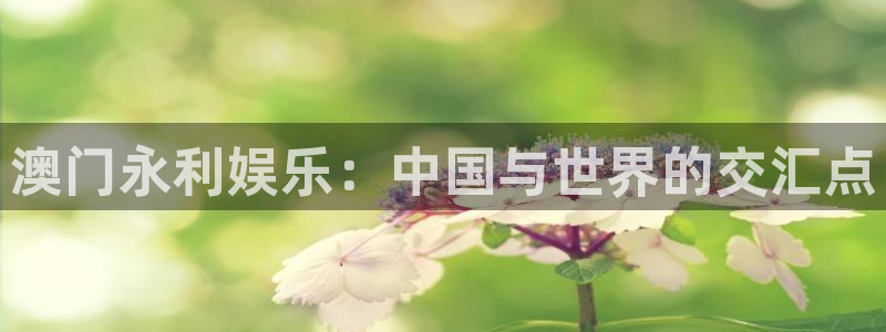 天辰娱乐下载链接是多少：澳门永利娱乐：中国与世界的交汇点