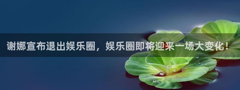 南宫天辰娱乐：谢娜宣布退出娱乐圈，娱乐圈即将迎来一场大变化！