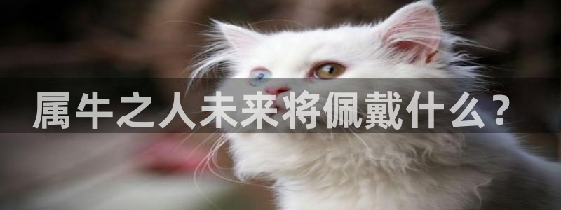 天辰娱乐体育2官网入口：属牛之人未来将佩戴什么？