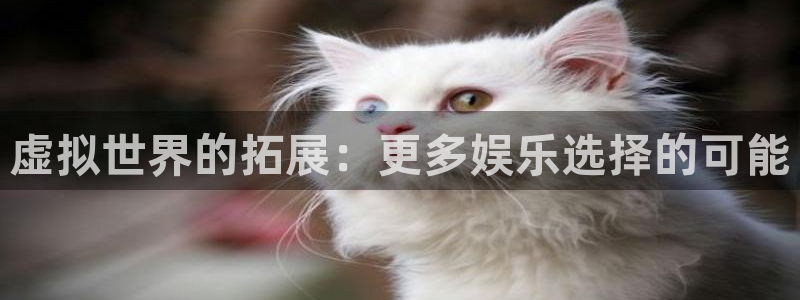 天辰娱乐平台官网版最新：虚拟世界的拓展：更多娱乐选择的可能