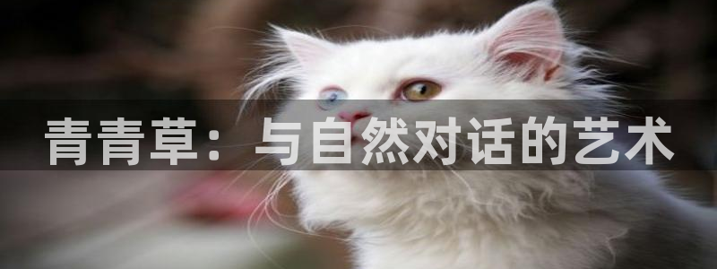天辰娱乐在线预测：青青草：与自然对话的艺术