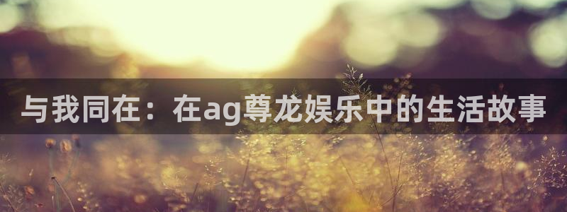 天辰娱乐平台最新版本下载
