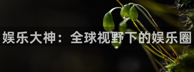 天辰娱乐游戏试玩