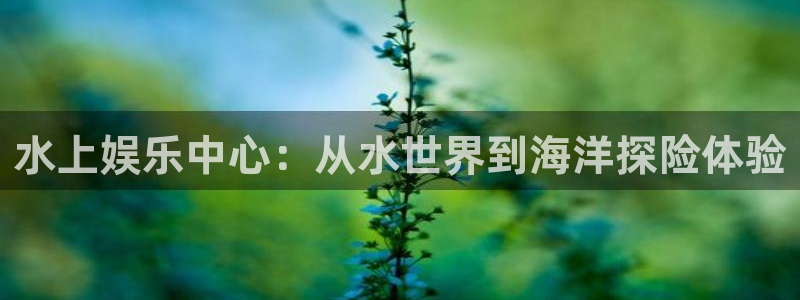 天辰娱乐下载