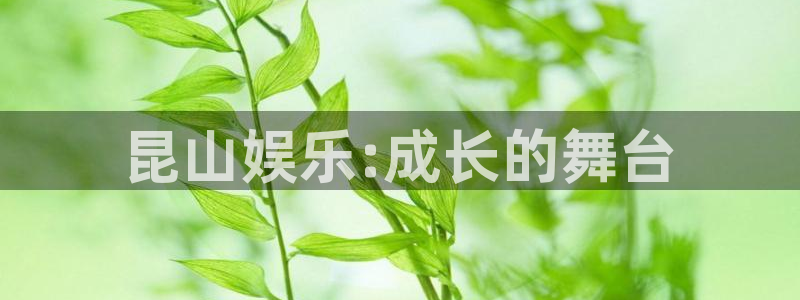 天辰娱乐3官网登录：昆山娱乐:成长的舞台
