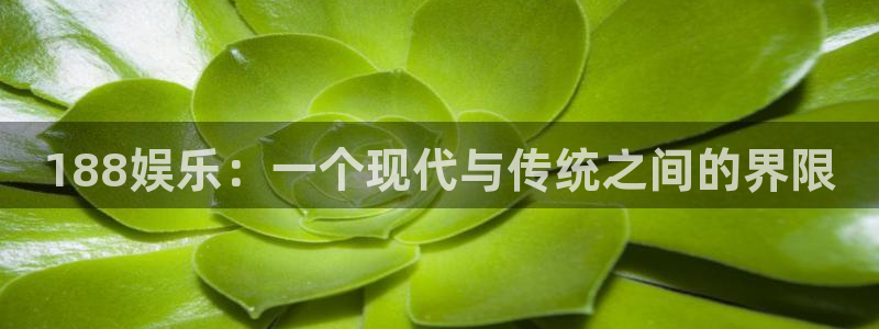 天辰娱乐pg：188娱乐：一个现代与传统之间的界限