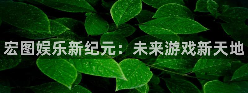 天辰娱乐注册网站app：宏图娱乐新纪元：未来游戏新天地