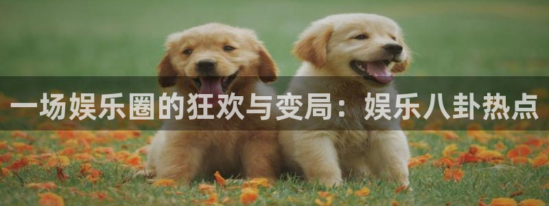 天辰娱乐加拿大在线预测：一场娱乐圈的狂欢与变局：娱乐八卦热点
