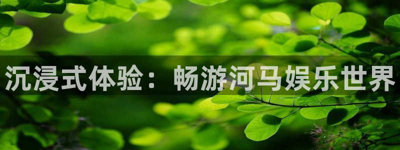 天辰娱乐体育热门赛事有哪些：沉浸式体验：畅游河马娱乐世界