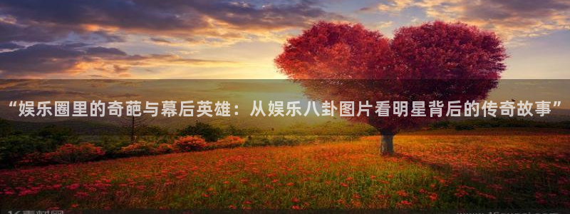 天辰娱乐2登录地址：“娱乐圈里的奇葩与幕后英雄：从娱乐八卦图片看明星背后的传奇故