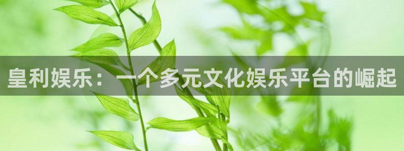 天辰娱乐的平台：皇利娱乐：一个多元文化娱乐平台的崛起
