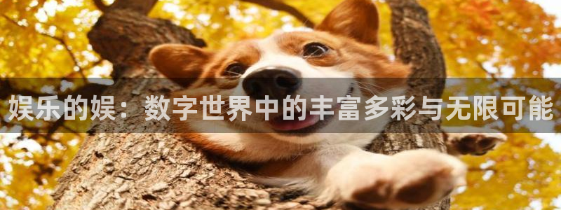 天辰娱乐登录界面入口：娱乐的娱：数字世界中的丰富多彩与无限可能