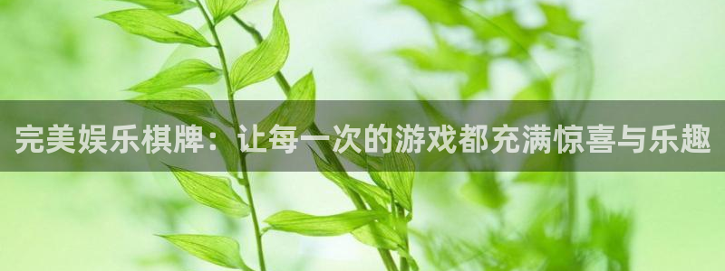 天辰娱乐体育老板是谁