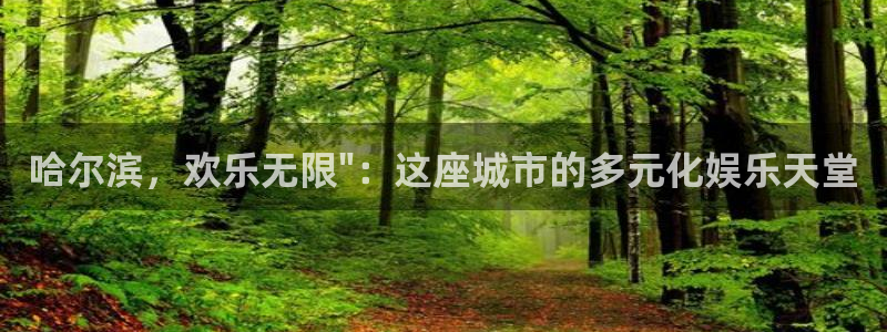 天辰娱乐软件：哈尔滨，欢乐无限\