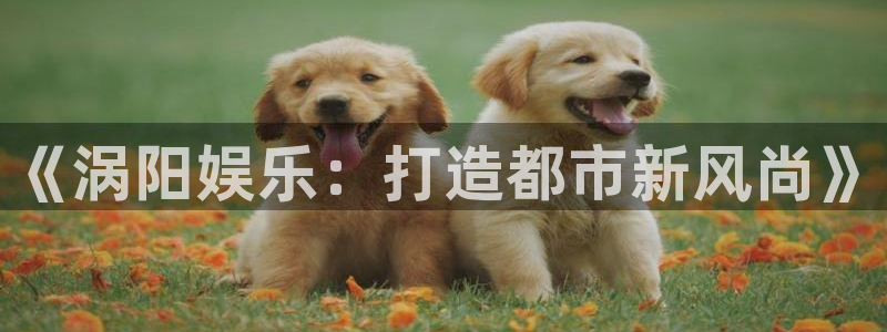 天辰娱乐游戏有哪些好玩的：《涡阳娱乐：打造都市新风尚》