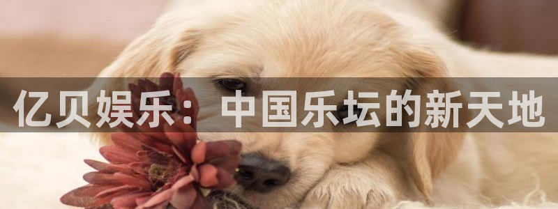 天辰娱乐平台注册账号：亿贝娱乐：中国乐坛的新天地