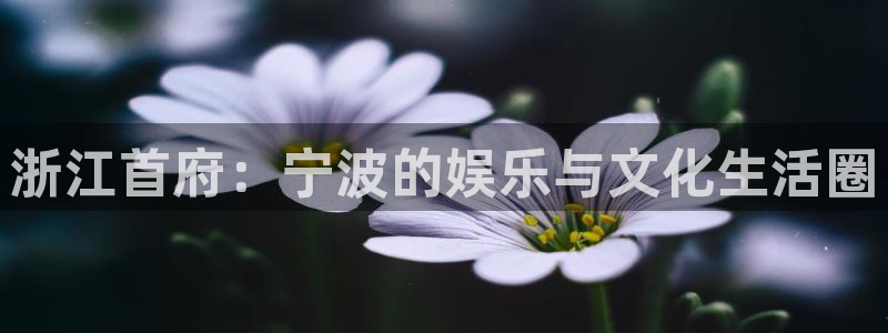 天辰娱乐网站：浙江首府：宁波的娱乐与文化生活圈