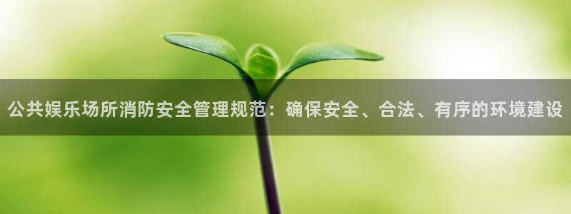 天辰娱乐有梦你就来：公共娱乐场所消防安全管理规范：确保安全、合法、有序的环境建设