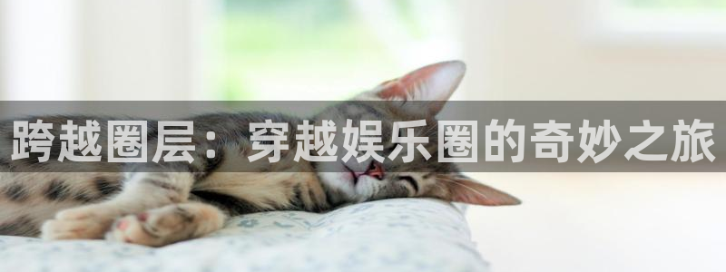 天辰娱乐可靠吗：跨越圈层：穿越娱乐圈的奇妙之旅